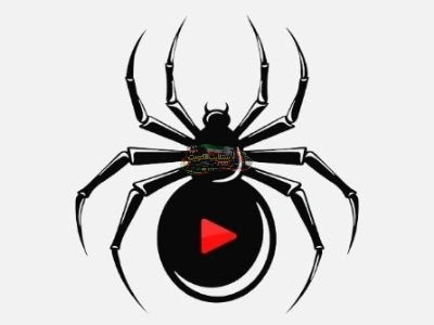 اشتراك Spider TV IPTV في الكويت